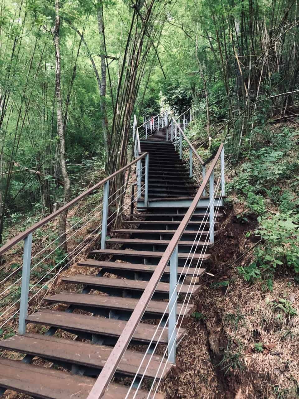 ทางเดินขึ้นวนอุทยานภูบ่อบิด