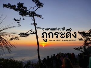 พร้อมแล้วรึยัง! ภูกระดึงเตรียมเปิดให้ไปพิชิตแล้วตั้งแต่ 1 ตุลาคม 2566 เป็นต้นไป