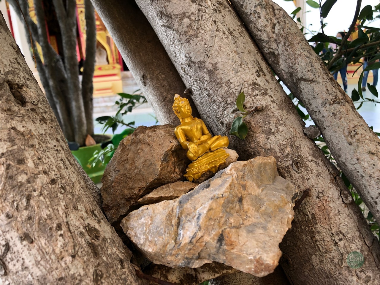 บริเวณรอยพระพุทธบาทซ้าย